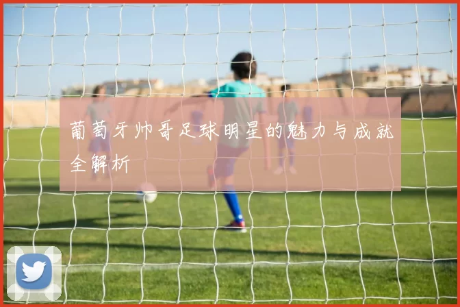 葡萄牙帅哥足球明星的魅力与成就全解析