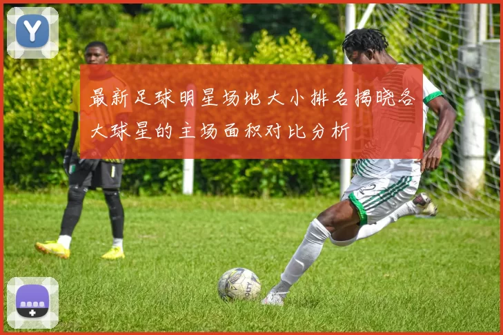 最新足球明星场地大小排名揭晓各大球星的主场面积对比分析