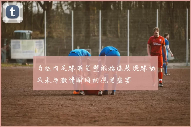 马达内足球明星壁纸精选展现球场风采与激情瞬间的视觉盛宴
