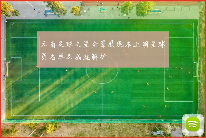 云南足球之星全景展现本土明星球员名单及成就解析