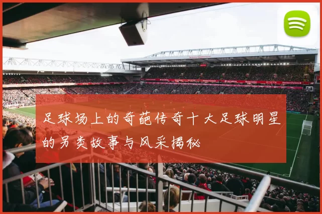 足球场上的奇葩传奇十大足球明星的另类故事与风采揭秘