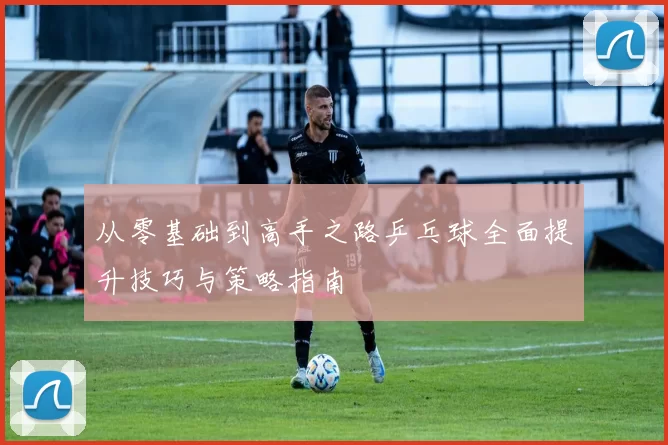 从零基础到高手之路乒乓球全面提升技巧与策略指南