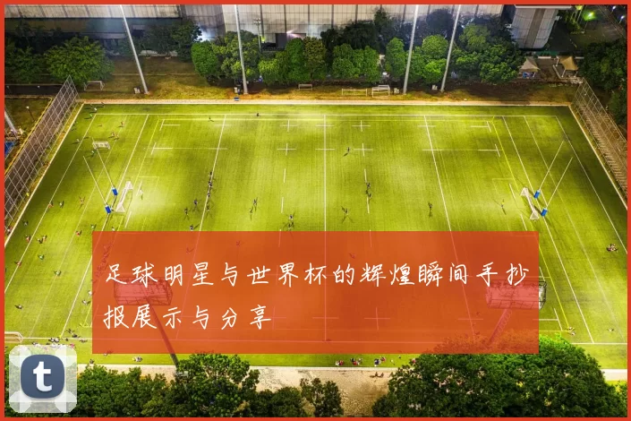 足球明星与世界杯的辉煌瞬间手抄报展示与分享