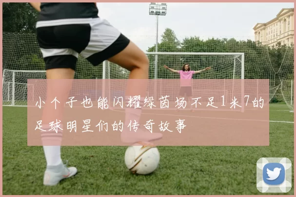 小个子也能闪耀绿茵场不足1米7的足球明星们的传奇故事