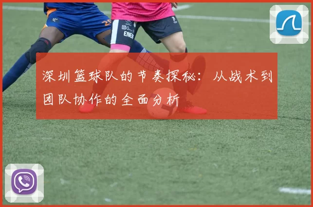深圳篮球队的节奏探秘：从战术到团队协作的全面分析