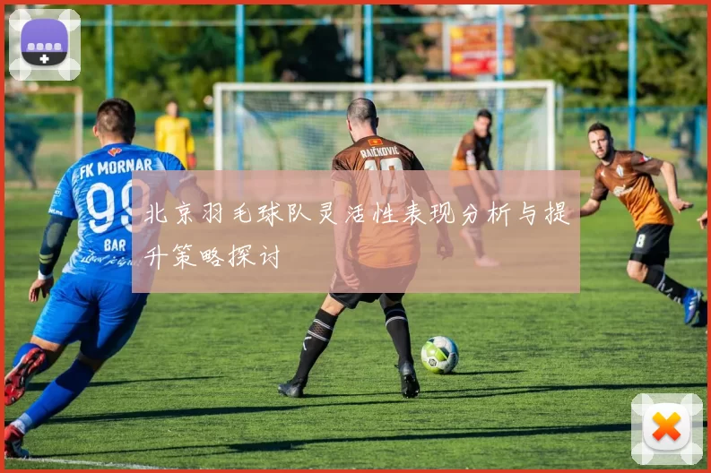 北京羽毛球队灵活性表现分析与提升策略探讨