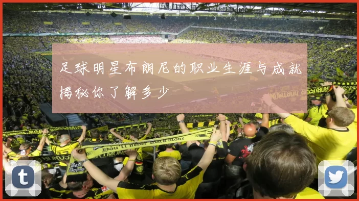 足球明星布朗尼的职业生涯与成就揭秘你了解多少