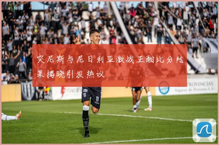 突尼斯与尼日利亚激战正酣比分结果揭晓引发热议