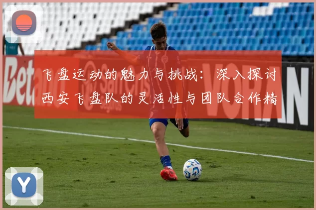 飞盘运动的魅力与挑战：深入探讨西安飞盘队的灵活性与团队合作精神