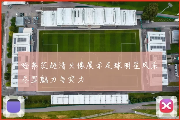 哈弗茨超清头像展示足球明星风采尽显魅力与实力