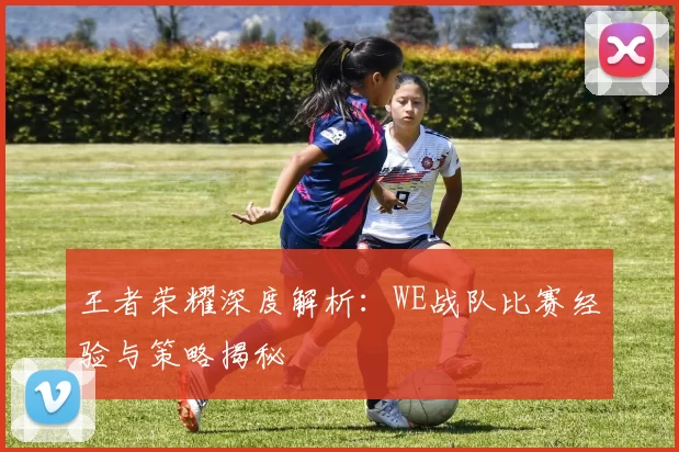 王者荣耀深度解析：WE战队比赛经验与策略揭秘