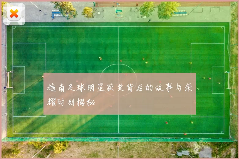 越南足球明星获奖背后的故事与荣耀时刻揭秘