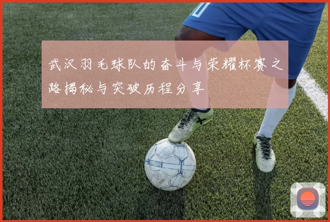 武汉羽毛球队的奋斗与荣耀杯赛之路揭秘与突破历程分享