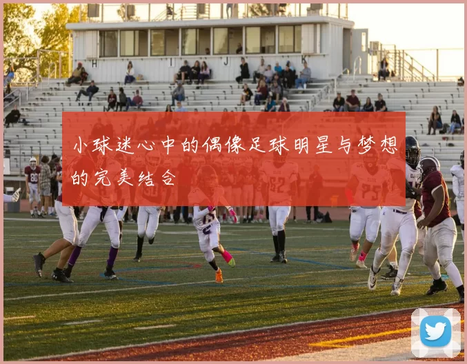 小球迷心中的偶像足球明星与梦想的完美结合