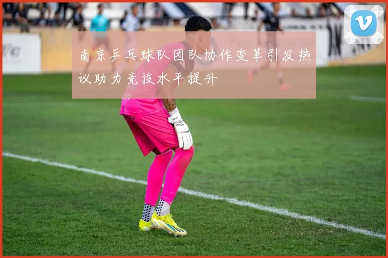南京乒乓球队团队协作变革引发热议助力竞技水平提升