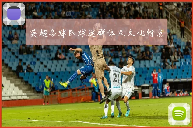 英超各球队球迷群体及文化特点