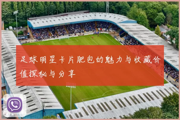 足球明星卡片肥包的魅力与收藏价值探秘与分享