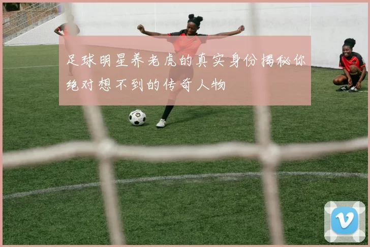 足球明星养老虎的真实身份揭秘你绝对想不到的传奇人物