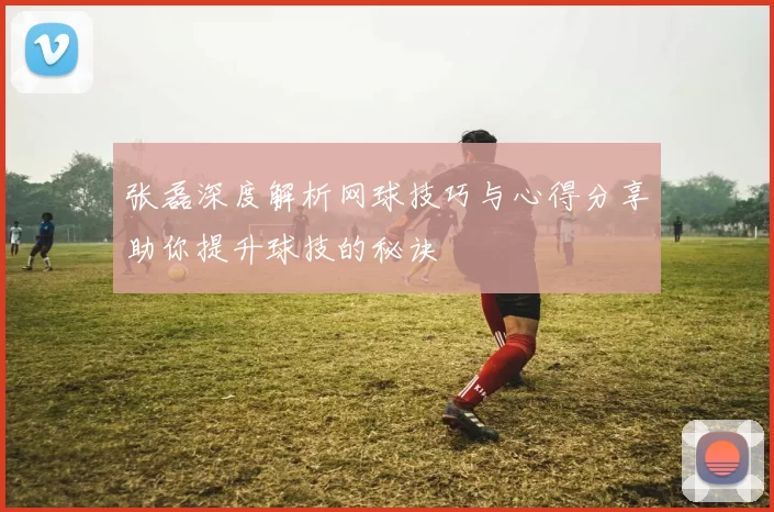 张磊深度解析网球技巧与心得分享助你提升球技的秘诀