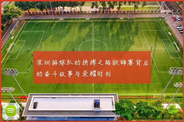 深圳排球队的拼搏之路欧锦赛背后的奋斗故事与荣耀时刻