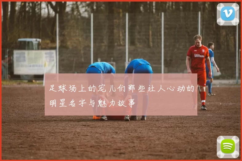 足球场上的宠儿们那些让人心动的明星名字与魅力故事
