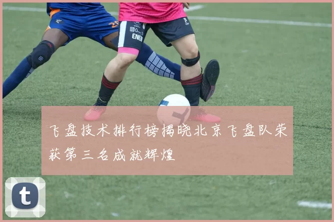飞盘技术排行榜揭晓北京飞盘队荣获第三名成就辉煌